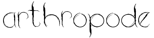 arthropode